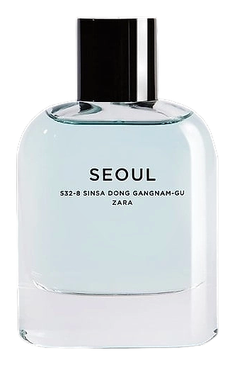 Zara Seoul 532 8 Sinsa Dong Gangnam Gu by Zara