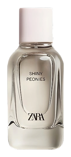 Zara Shiny Peonies