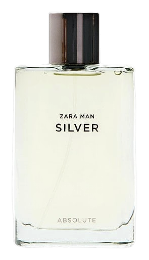 Silver Absolute by Zara