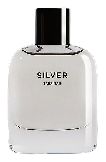 Silver by Zara