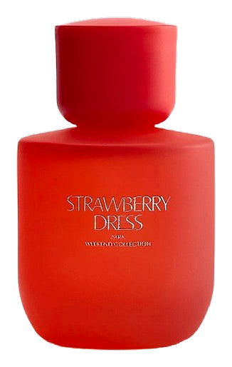 Strawberry Dress by Zara