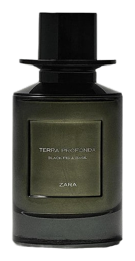 Terra Profonda Black Fig & Basil by Zara – Eau de Toilette