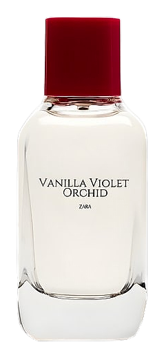 Vanilla Violet Orchid by Zara