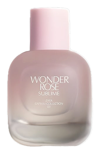 Wonder Rose Sublime by Zara