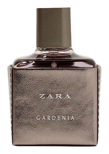 Zara Gardenia 2017 by Zara