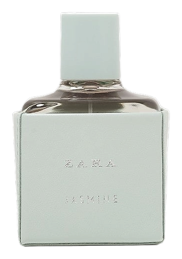 Zara Jasmine by Zara