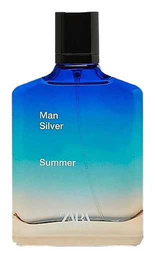 Zara Man Silver Summer 2020 by Zara