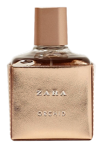 Zara Orchid 2017 by Zara