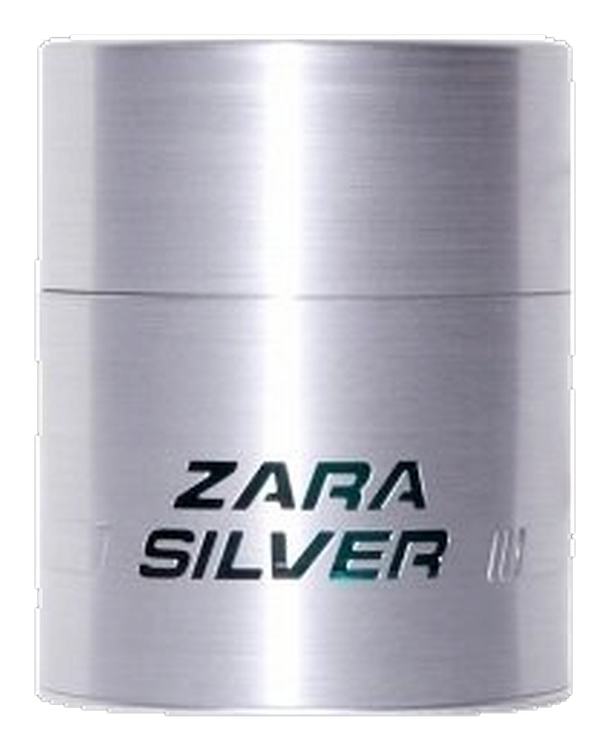 Silver by Zara