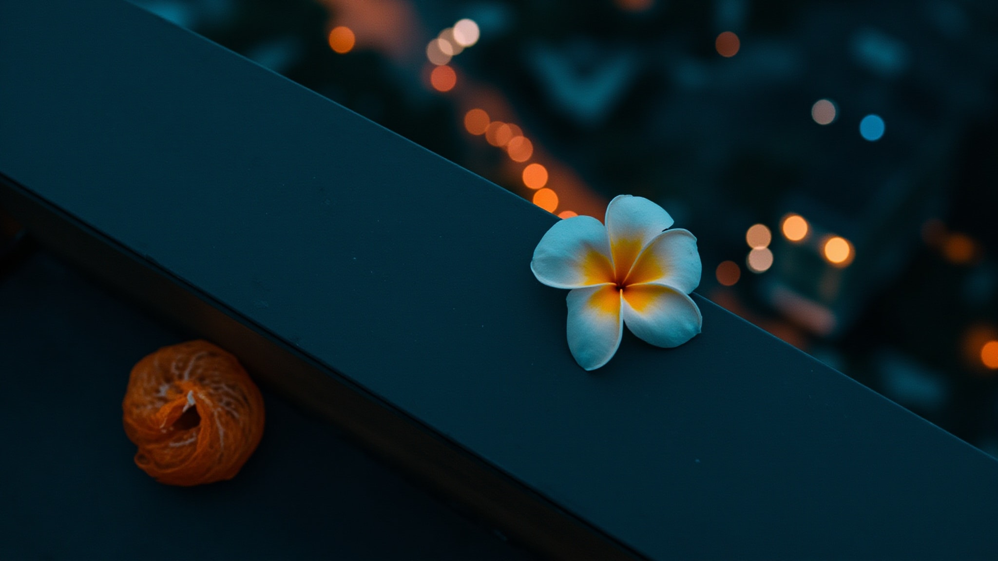 Midnight in the Palace Garden by 4160 Tuesdays. Atmospheric mood