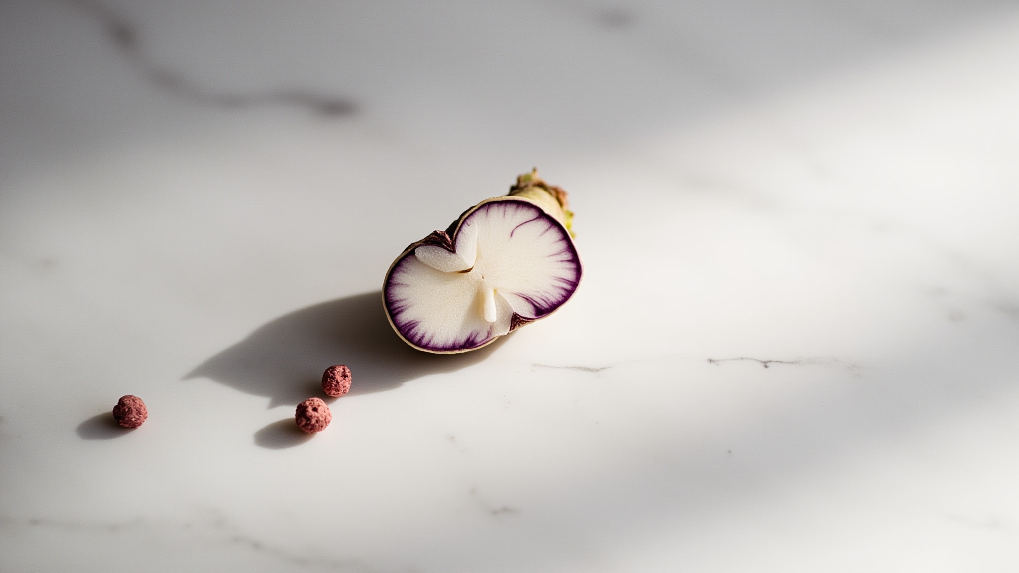 Pink Iris by Abel. Atmospheric mood