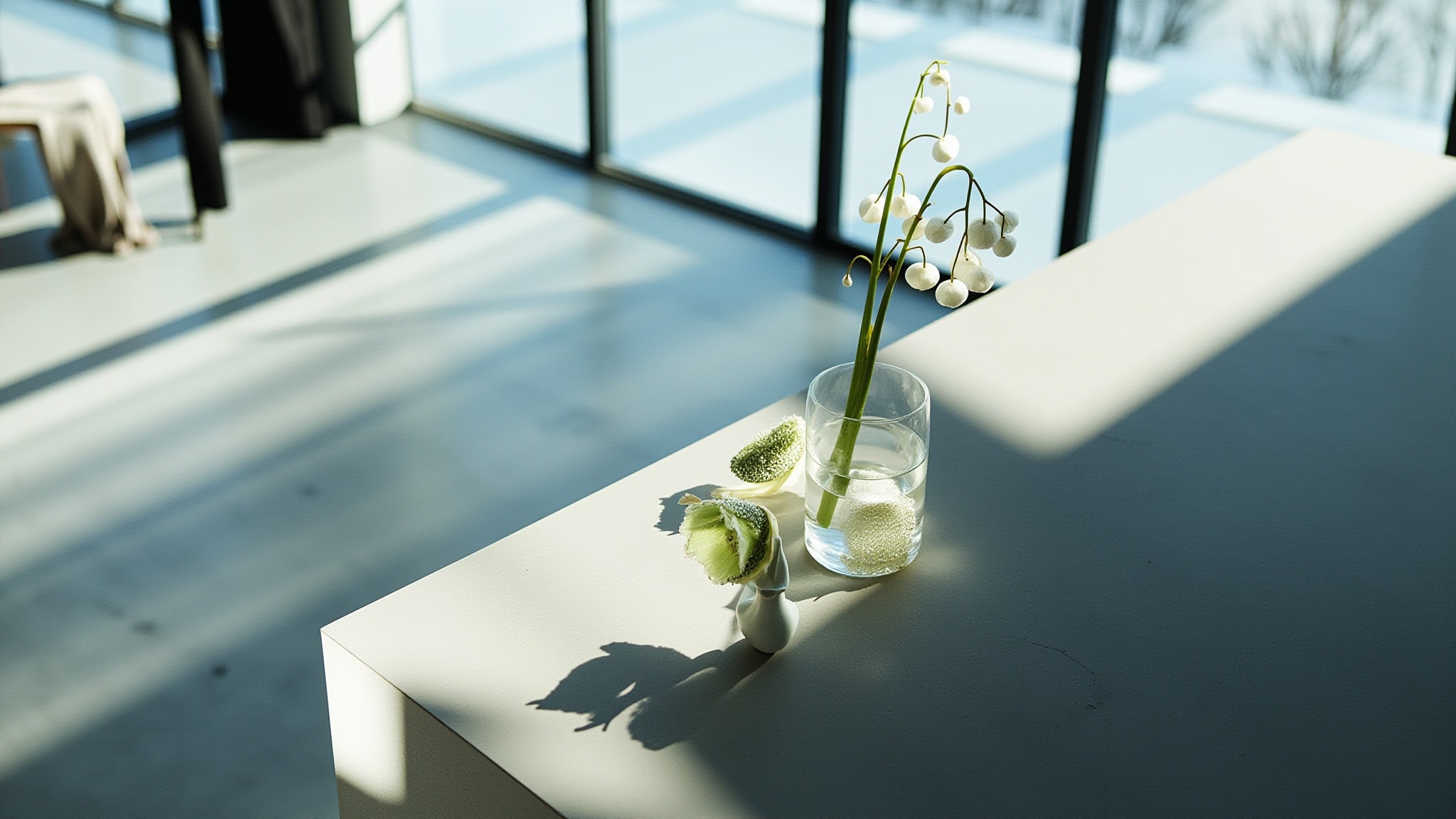 Helleborus by Acidica Perfumes. Atmospheric mood