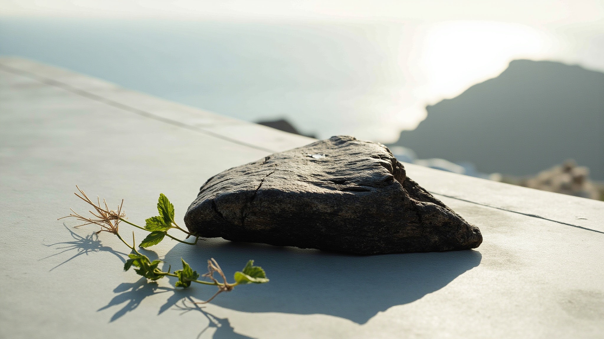 Blu Mediterraneo Quercia Marina by Acqua di Parma. Atmospheric mood