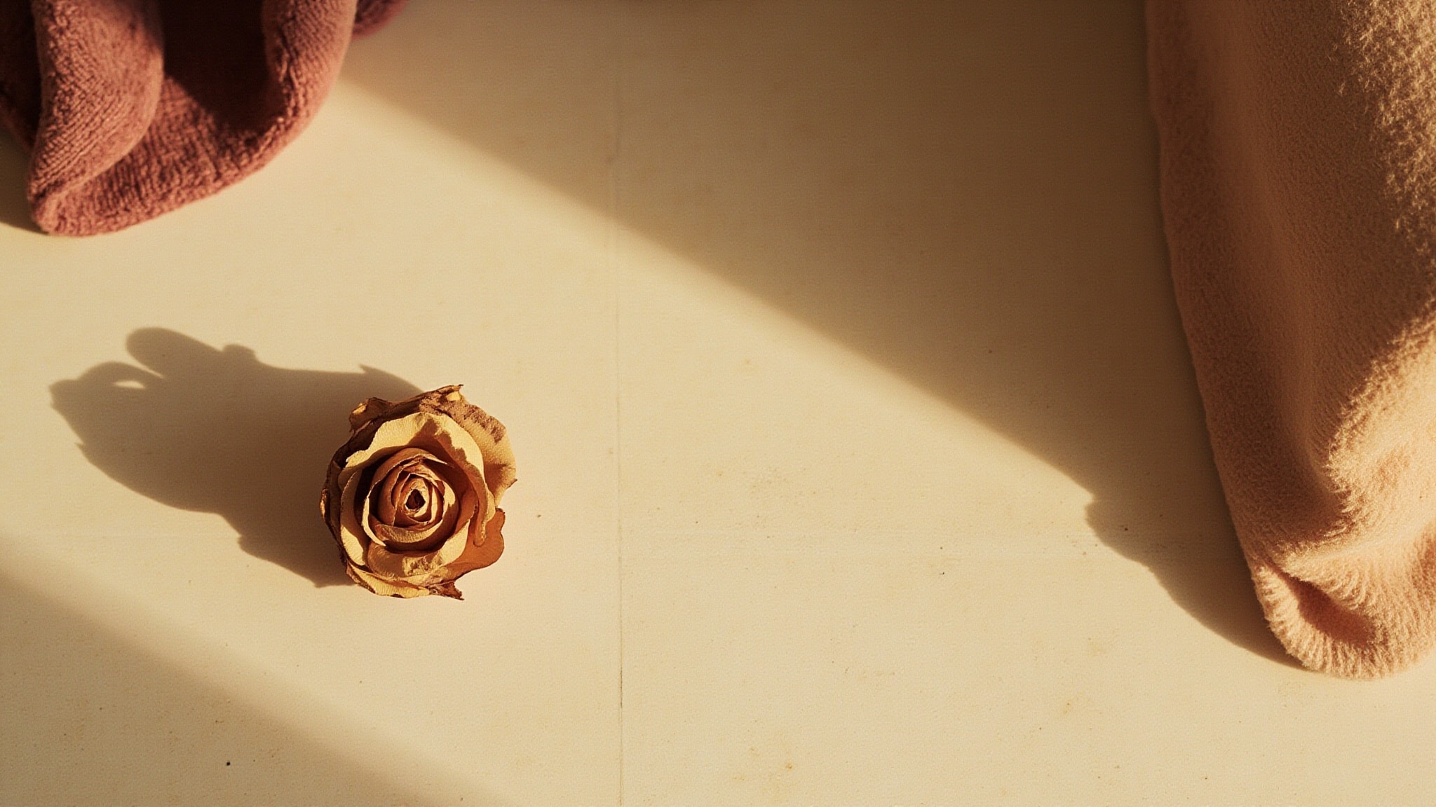 Nectar de Rose by Adopt Parfums. Atmospheric mood