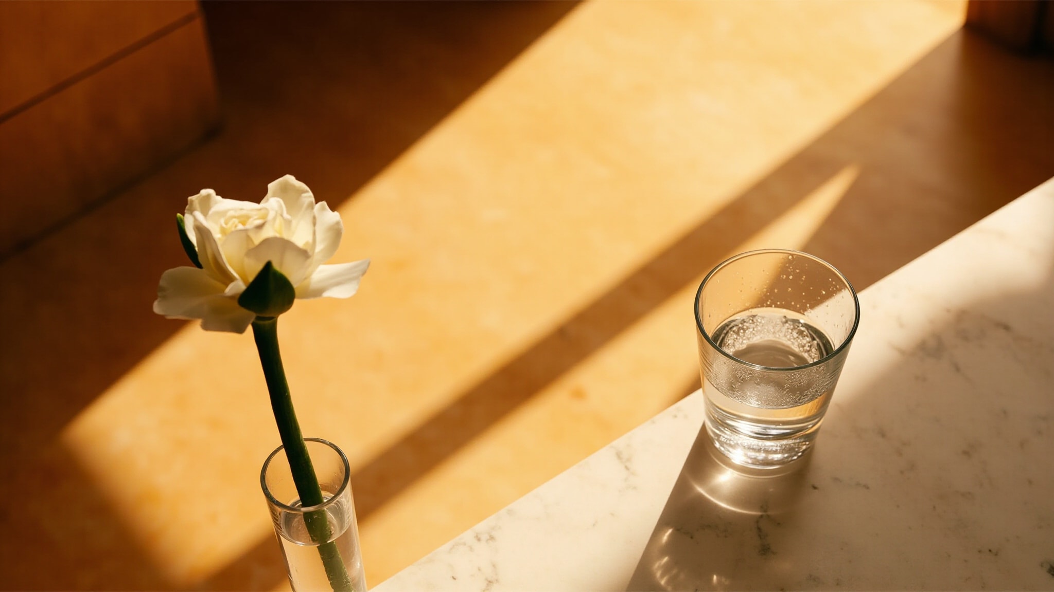 Renata by Ajmal. Atmospheric mood