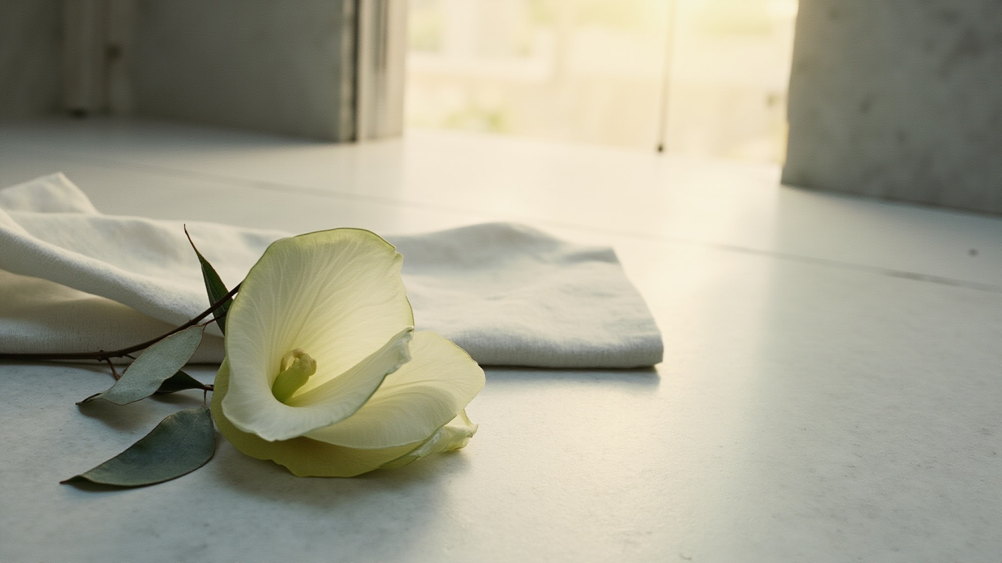 Halong Heaven by Almah Parfums 1948. Atmospheric mood