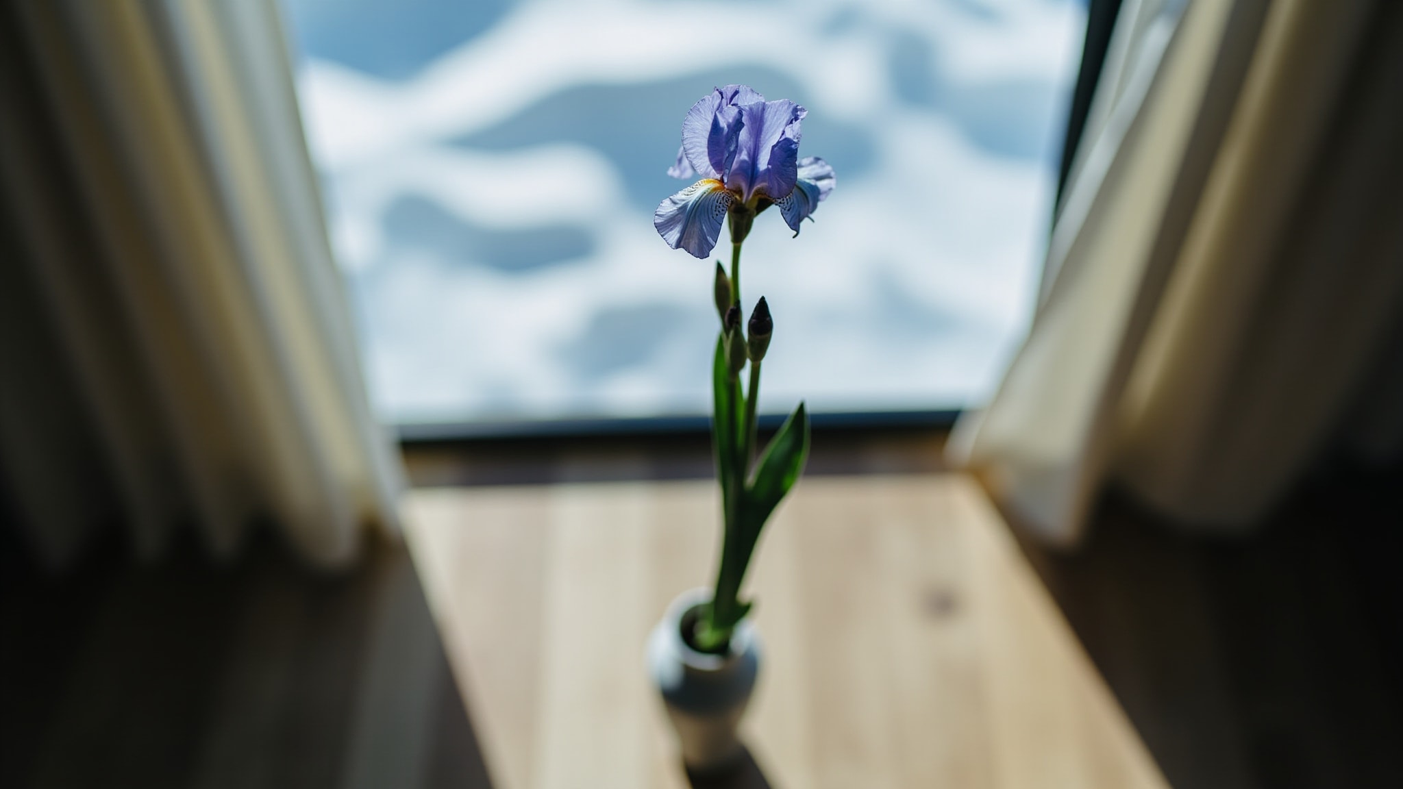 Alpine Iris by Notes for Later. Atmospheric mood