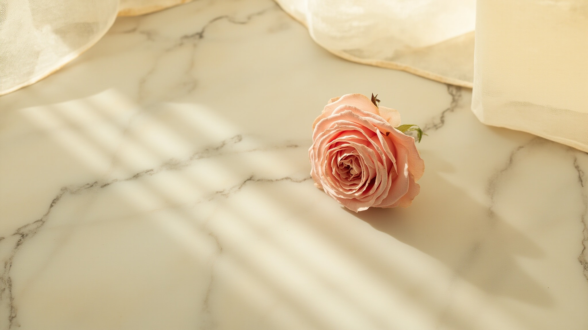 Rose Profond by Alyson Oldoini. Atmospheric mood