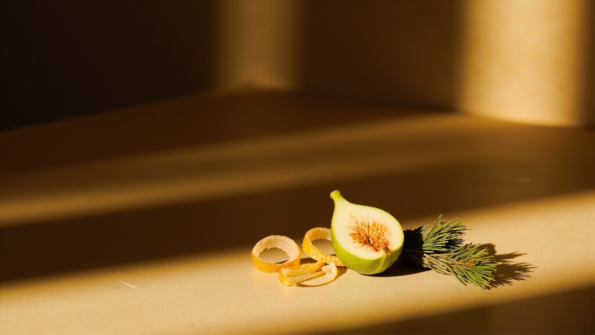 Cypress Fig by Apolis. Atmospheric mood