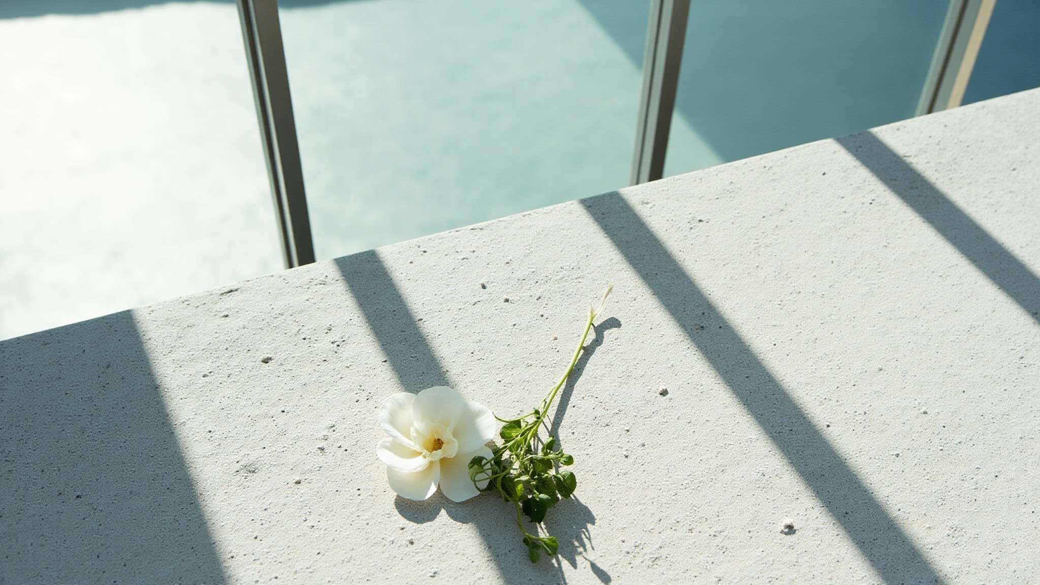 Flores by Aqua Dos Açores Atlantic Ocean. Atmospheric mood