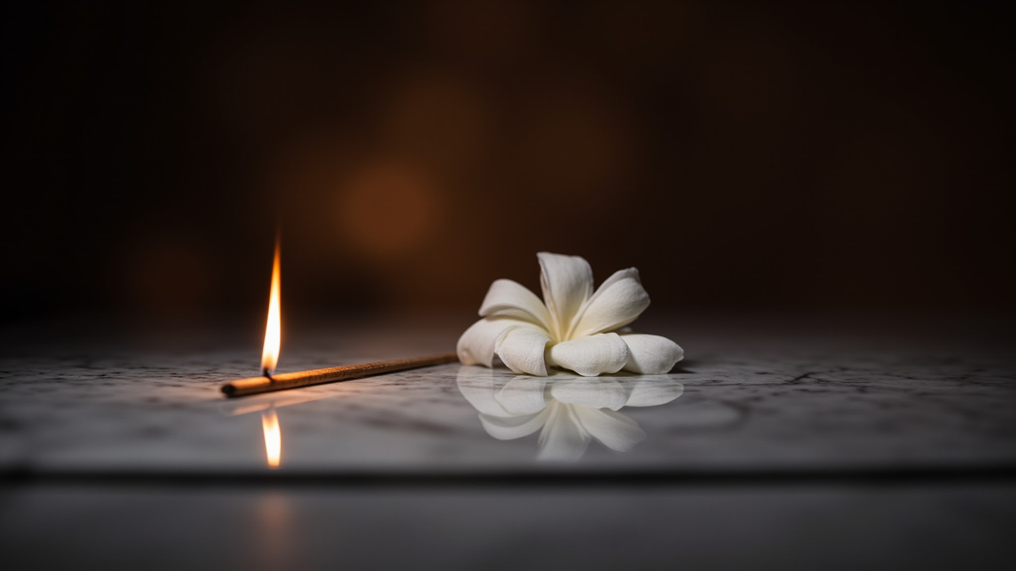 The Joss Flower by Atkinsons. Atmospheric mood