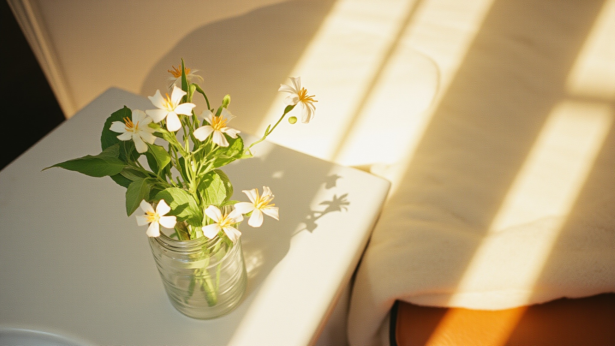 Jasmin Reve by Au Pays de la Fleur d’Oranger. Atmospheric mood