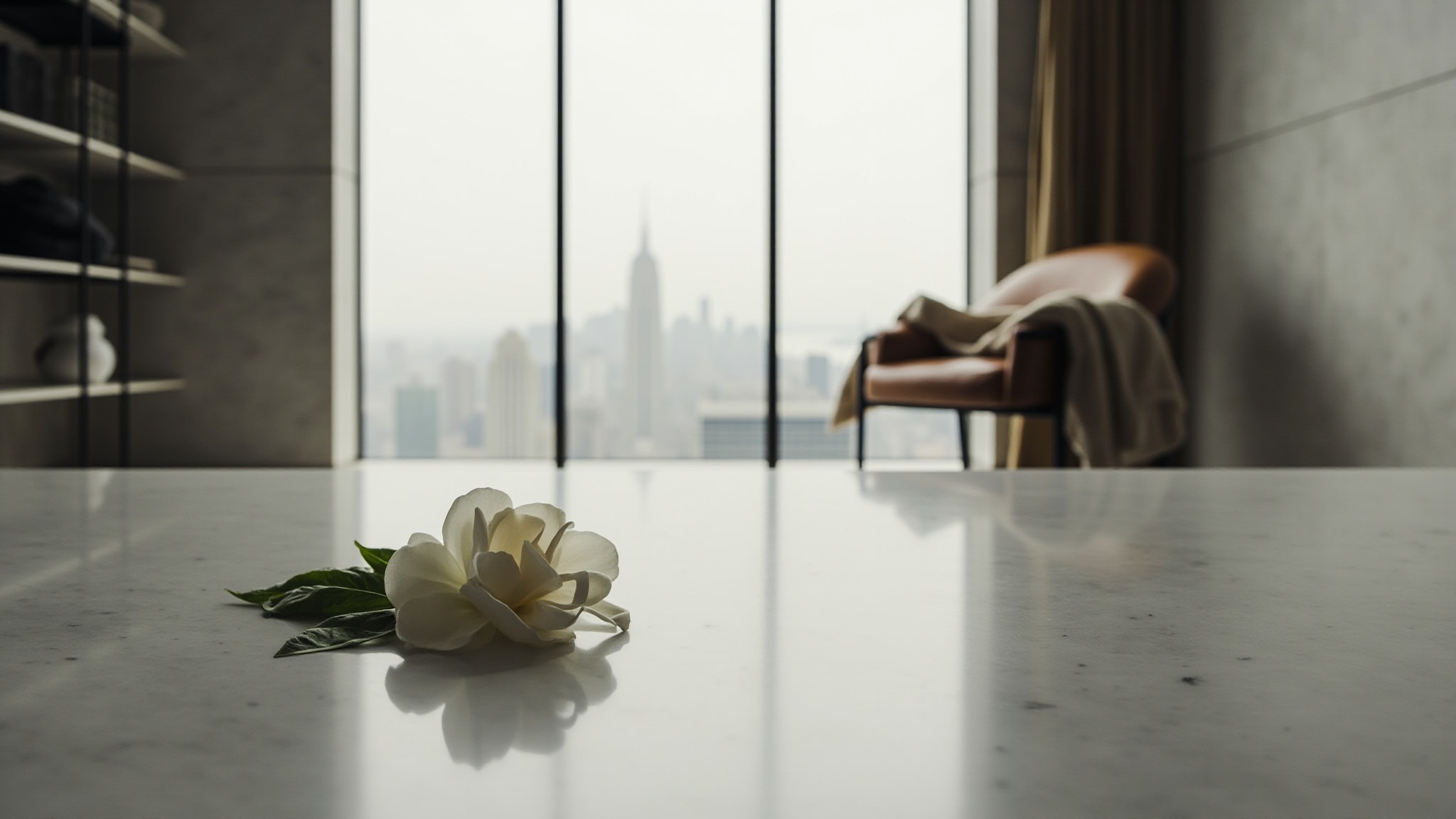 Crepe de Chine by Ava Luxe. Atmospheric mood