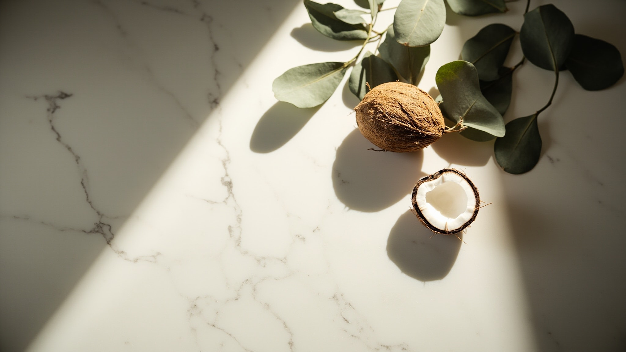 Pure Coconut by AXE. Atmospheric mood