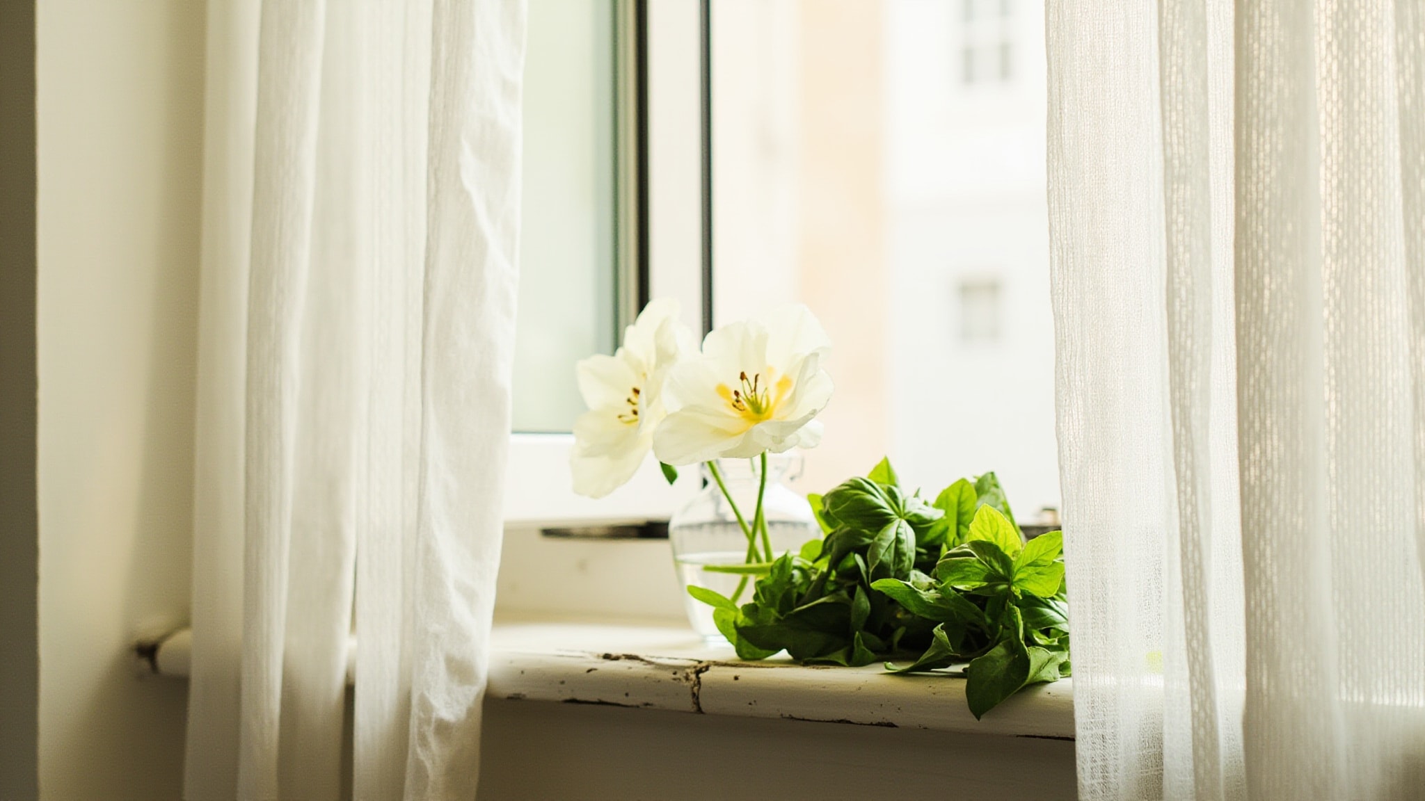 Basil & Neroli by Jo Malone London. Atmospheric mood