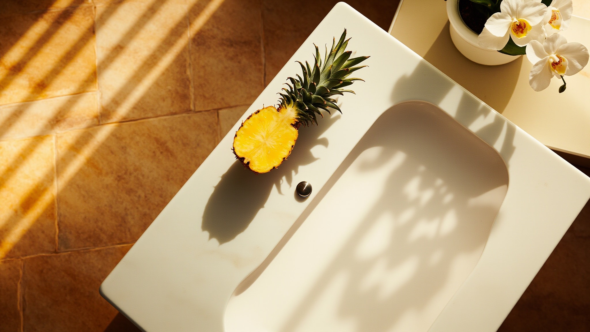 Fresh Pineapple by Bath & Body Works. Atmospheric mood