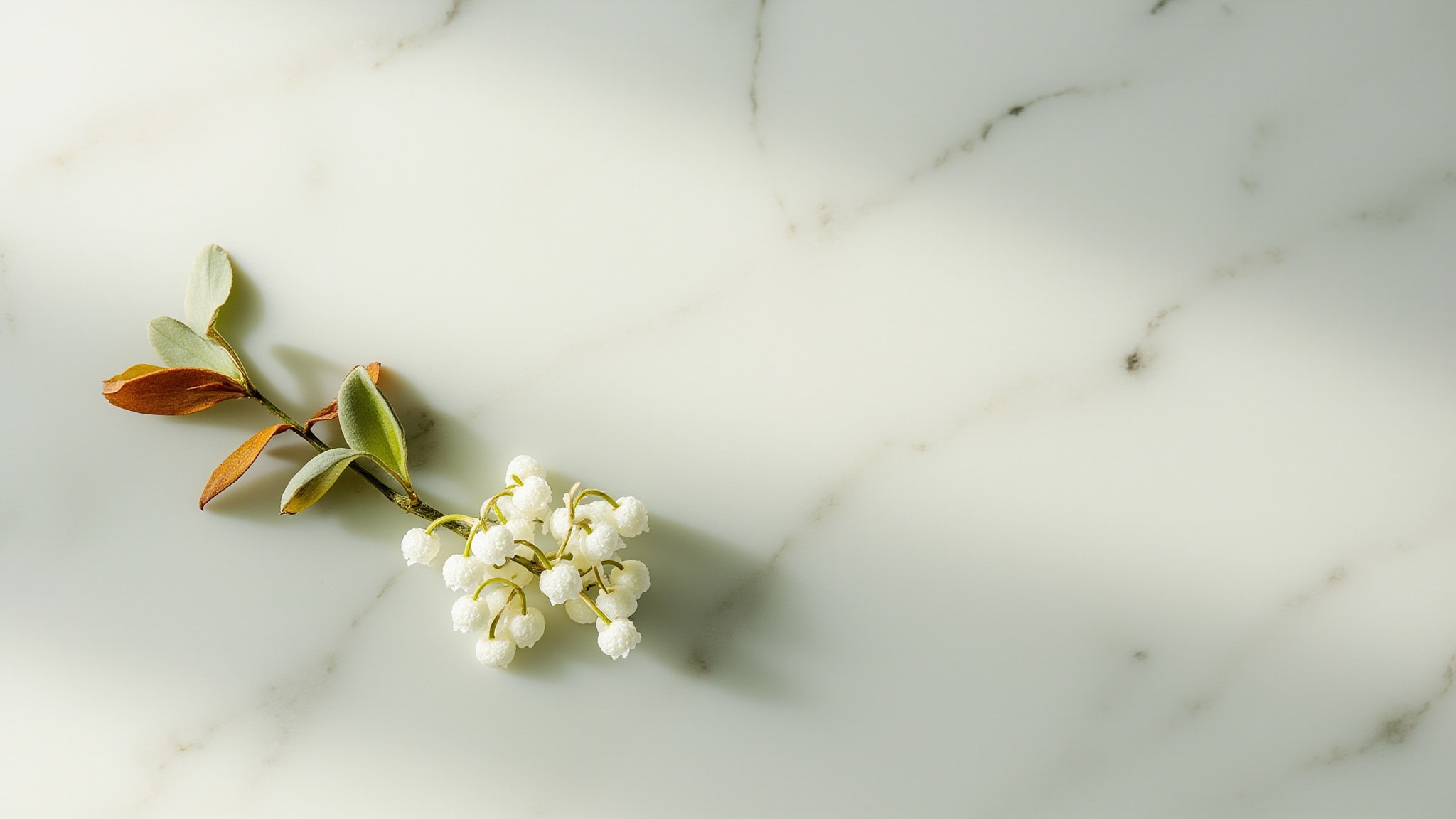 White Muguet by Berkeley Square. Atmospheric mood