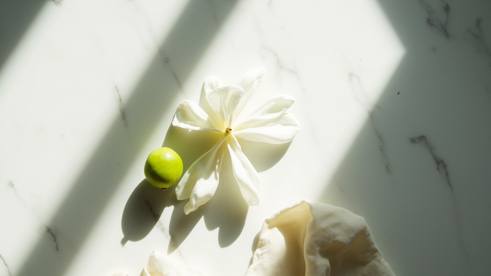 Beautiful Blossoms by Bodycology. Atmospheric mood