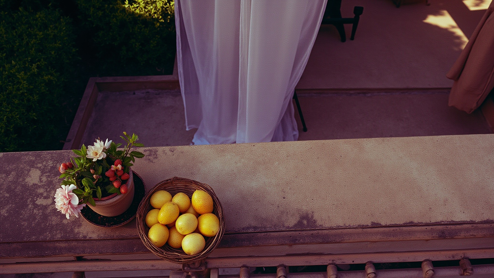 Bouquet Fragola by Nature's. Atmospheric mood