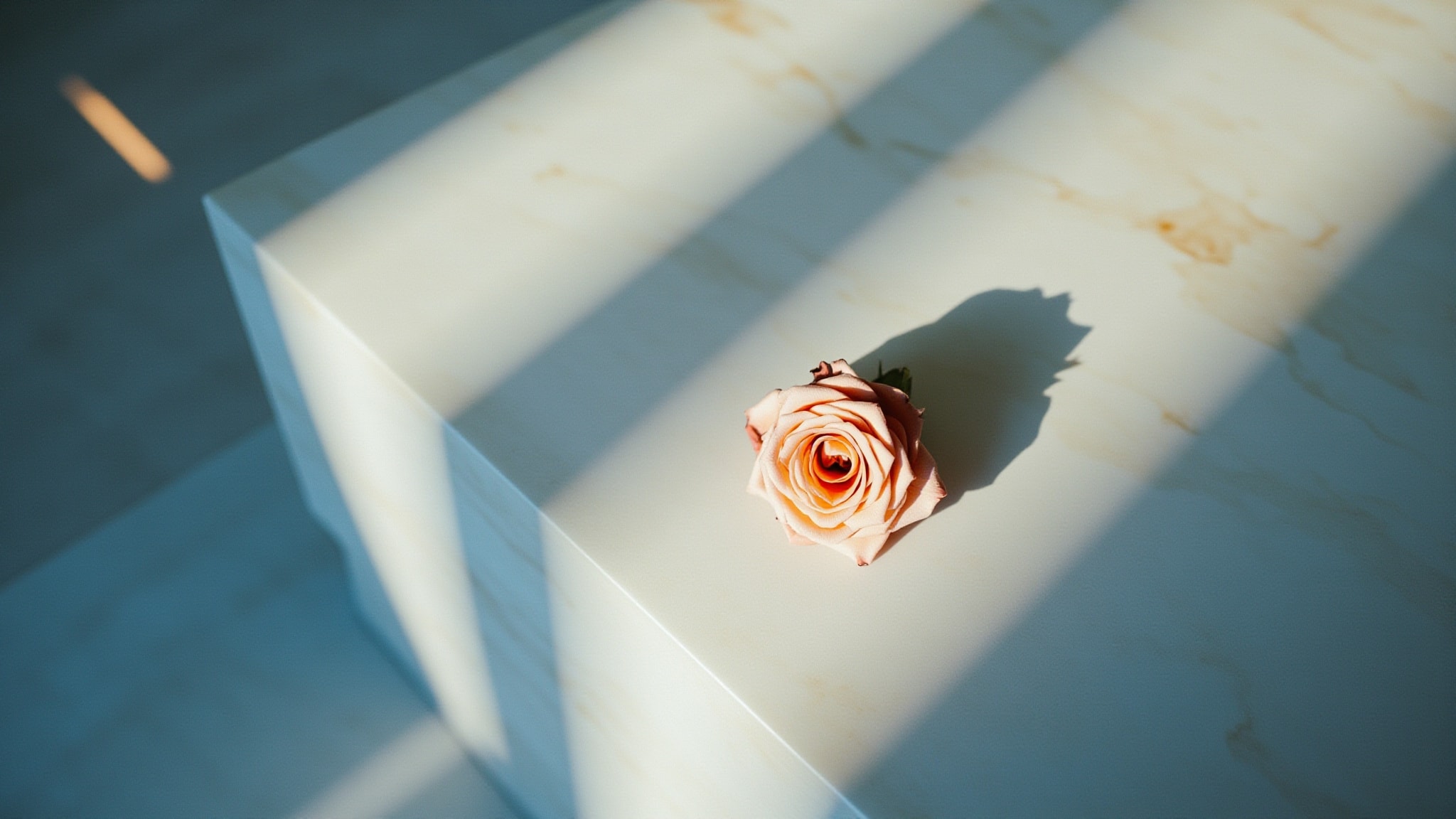 Lil Fleur by Byredo. Atmospheric mood