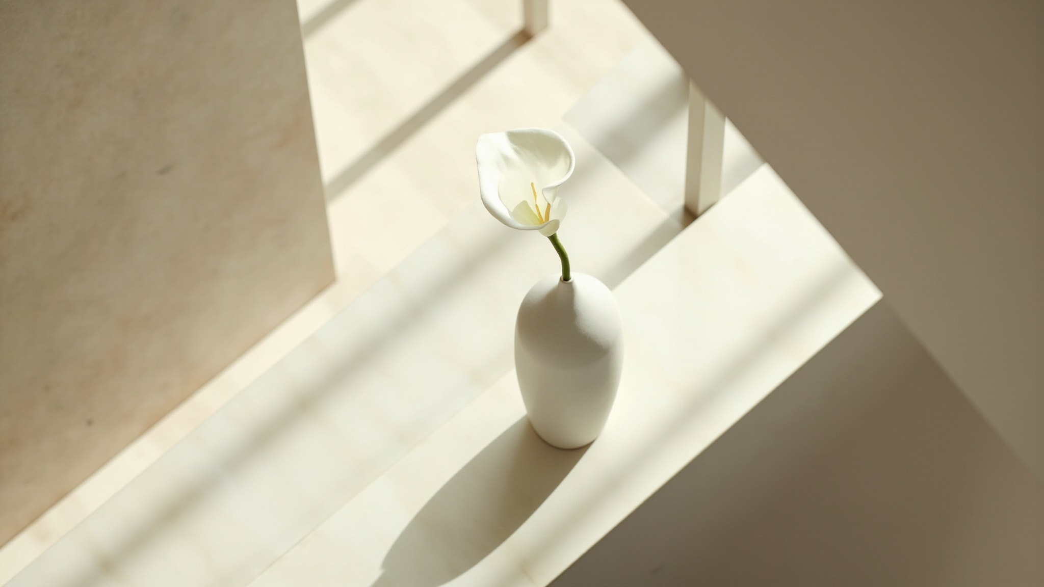 Beauty by Calvin Klein. Atmospheric mood