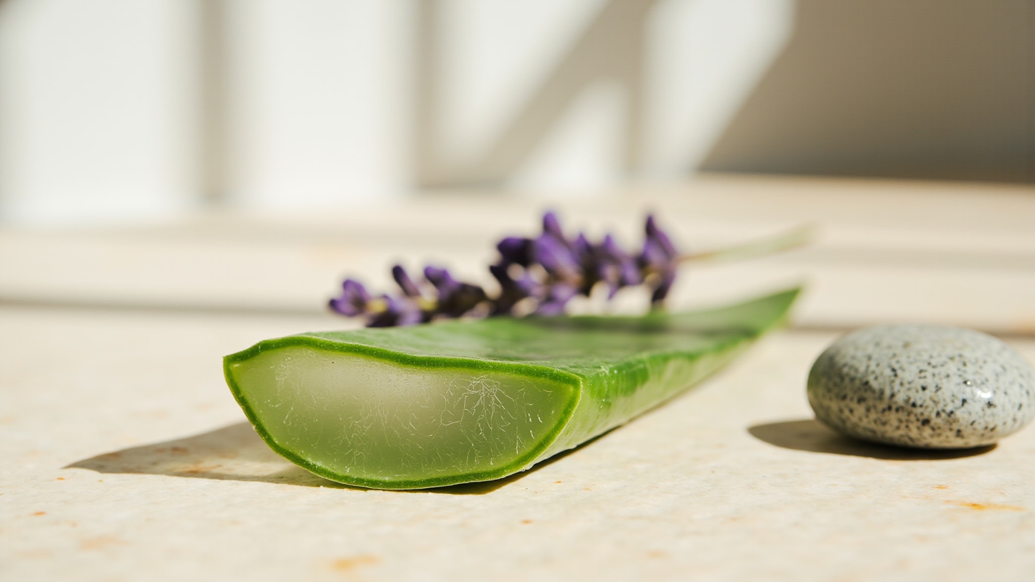 Acqua di Carthusia Aloe by Carthusia. Atmospheric mood