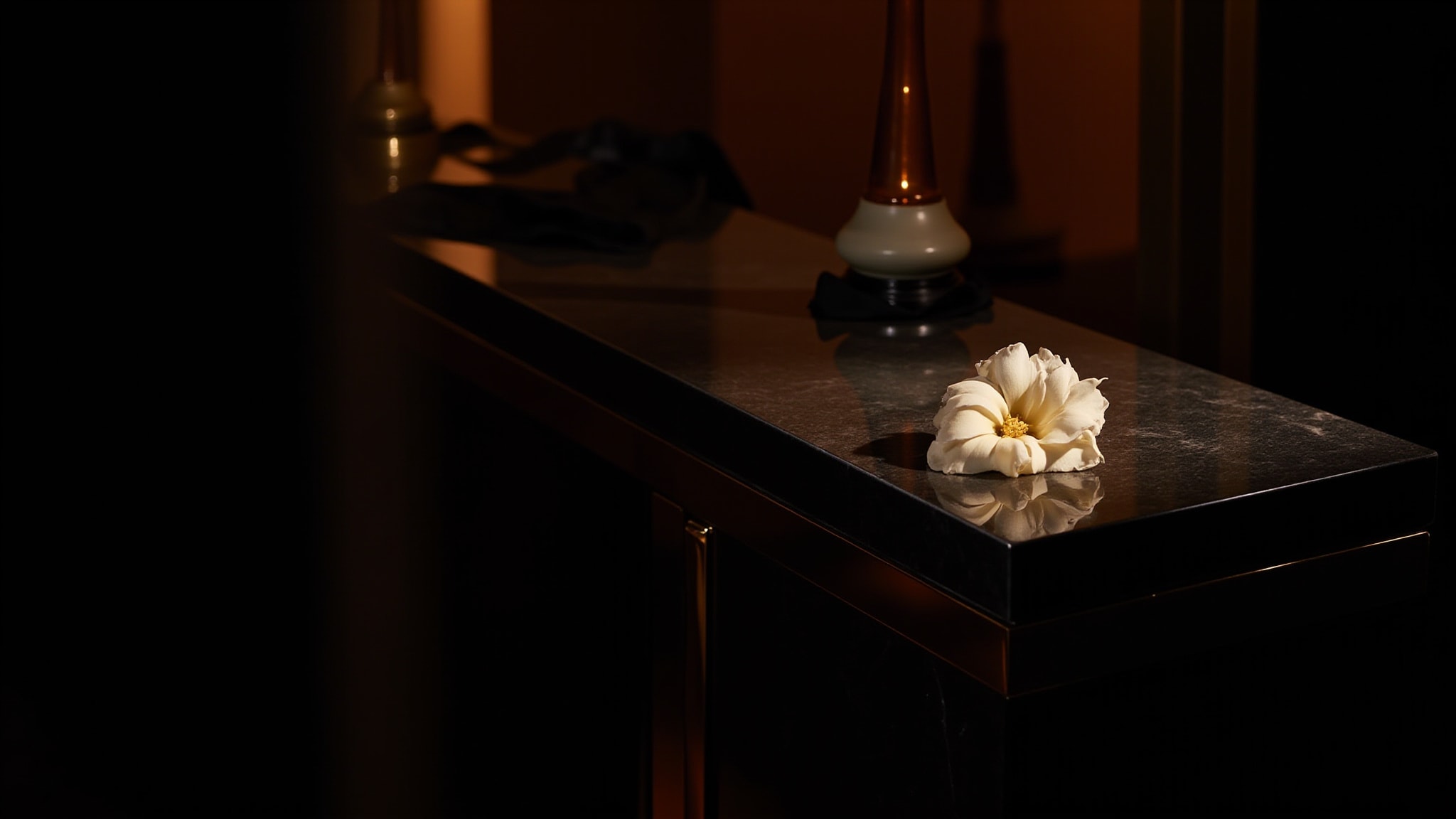 La Panthere Noir Absolu by Cartier. Atmospheric mood