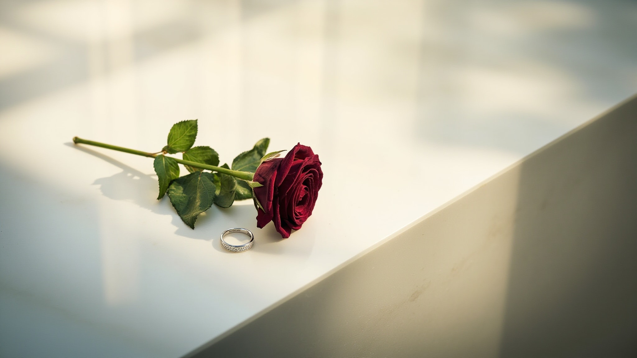 Pure Rose by Cartier. Atmospheric mood