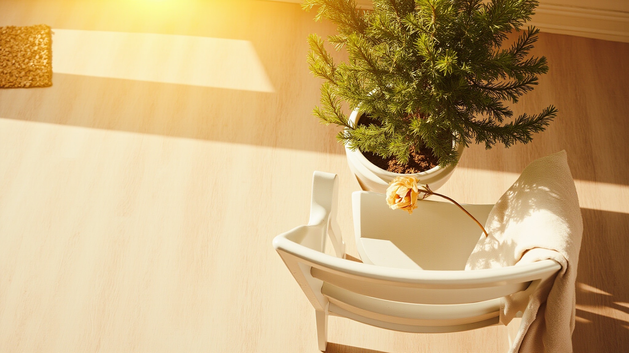 Cedrus Intense by Chloé. Atmospheric mood