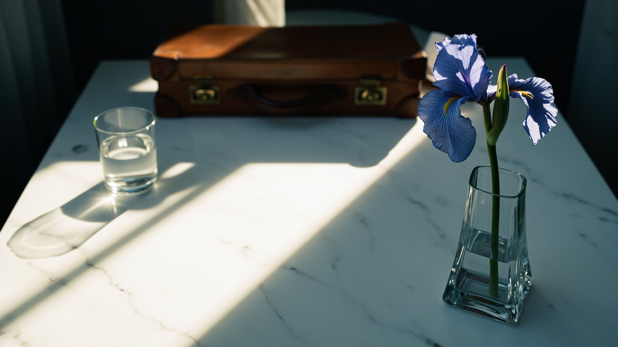 Chanel N°19 by Chanel. Atmospheric mood