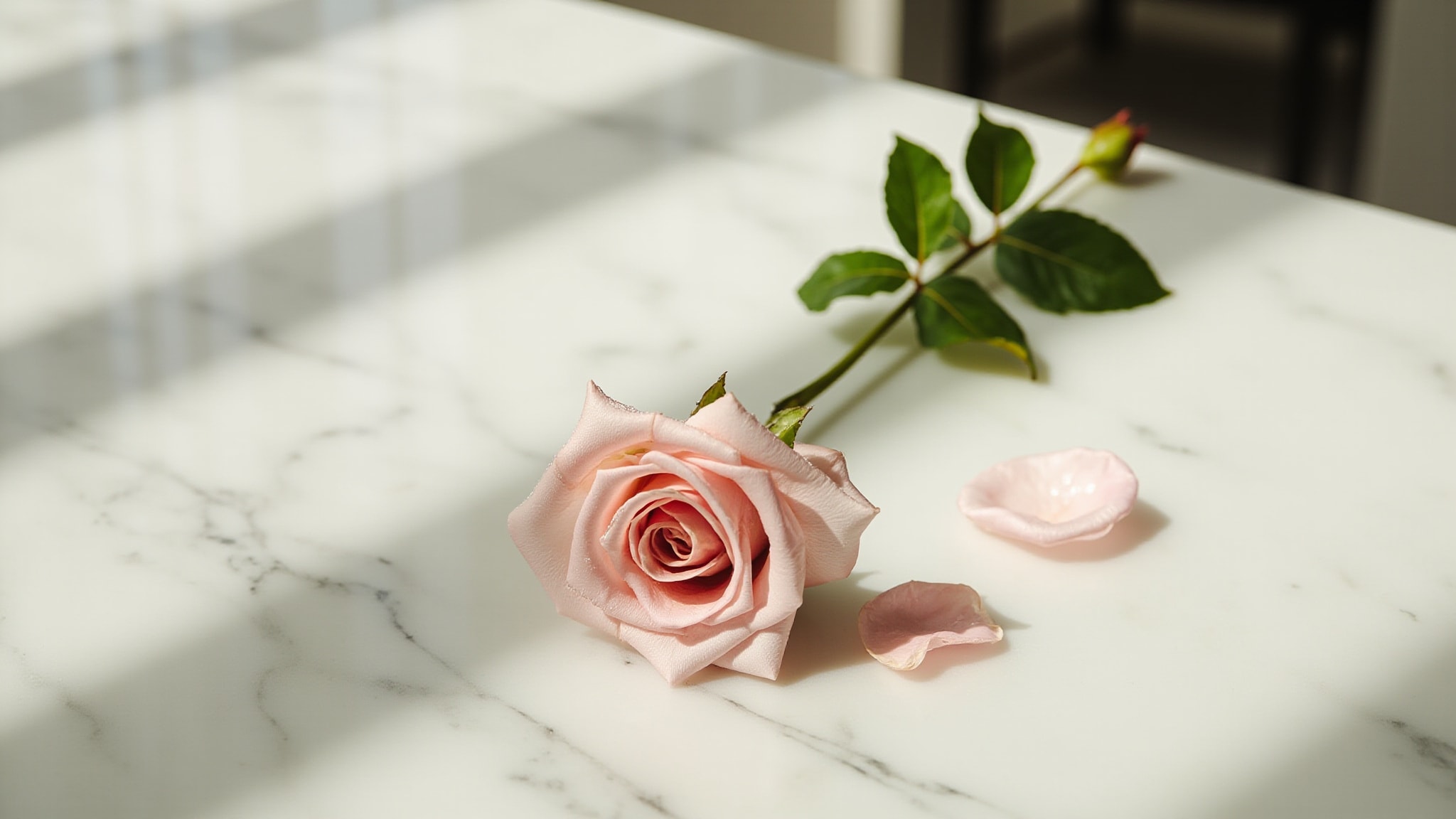 Magic Rose by Charrier Parfums. Atmospheric mood