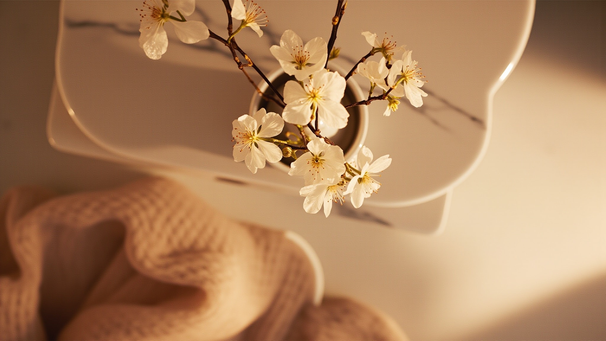 See By Chloé by Chloé. Atmospheric mood