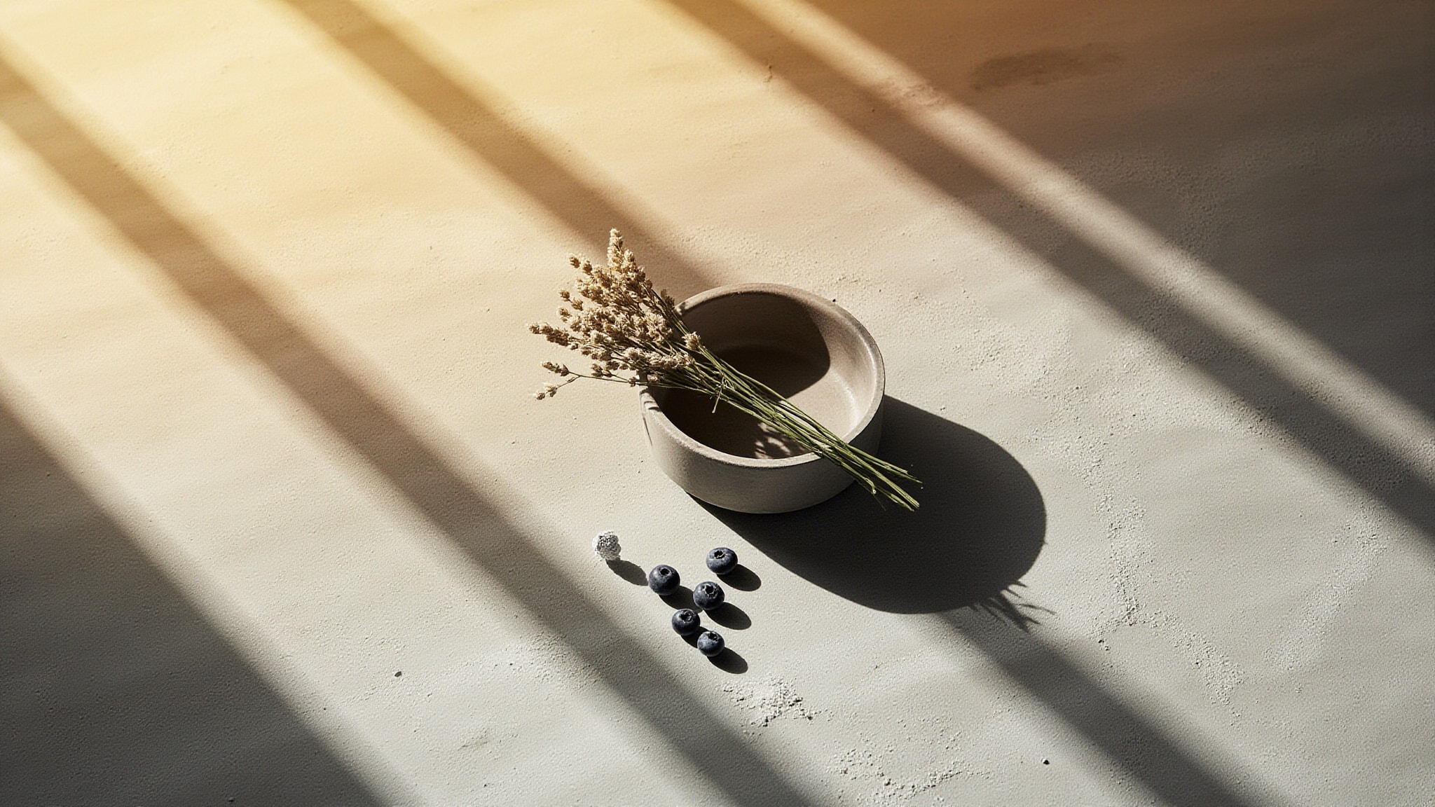 Bois Primitif by Claudio Zucca Parfums. Atmospheric mood