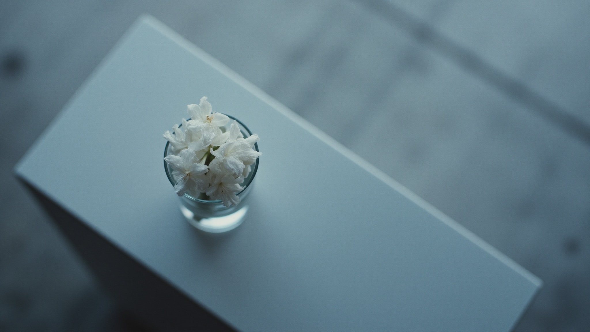 Winter by Clean. Atmospheric mood