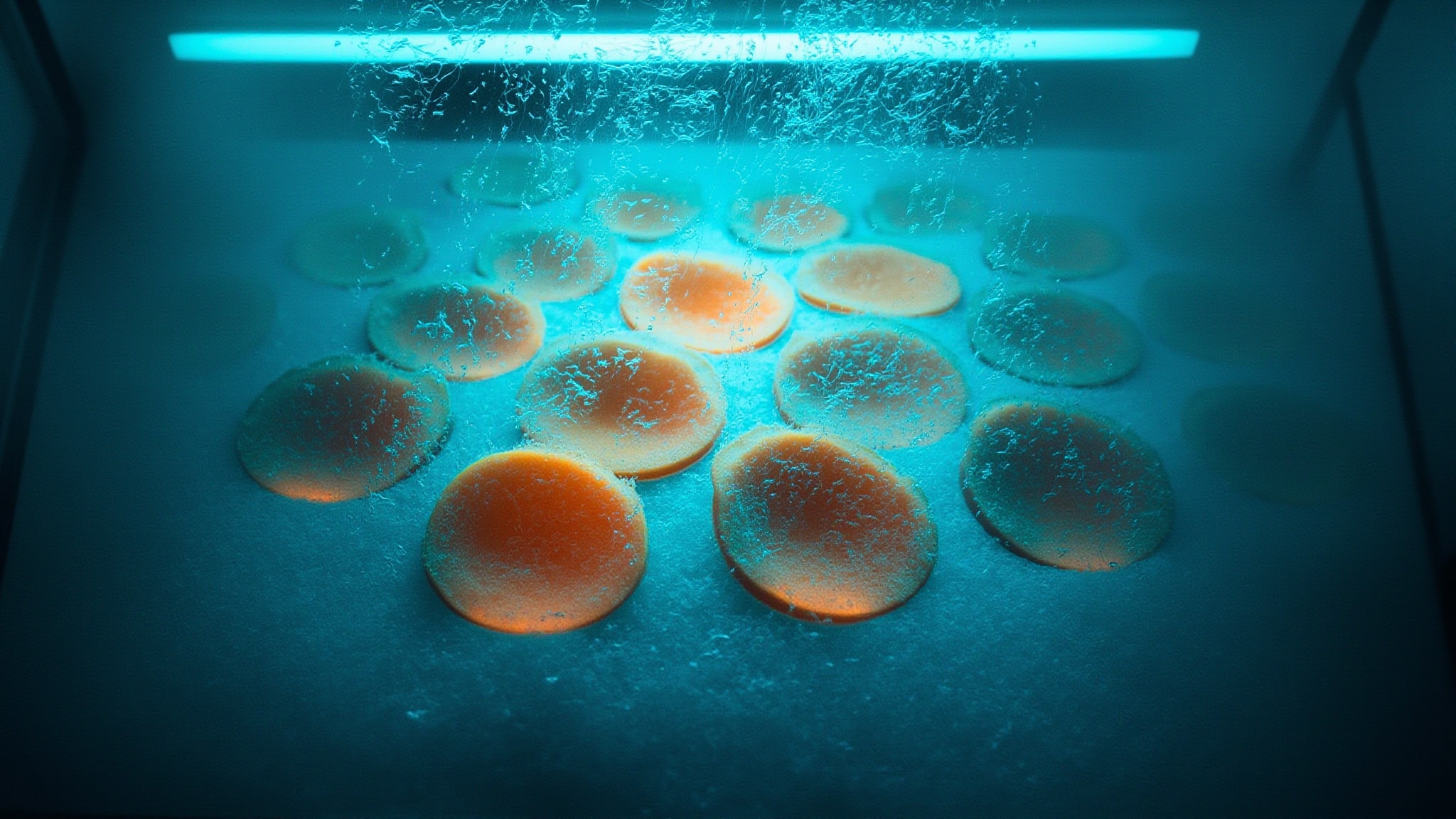 Ice(d) by Commodity. Atmospheric mood