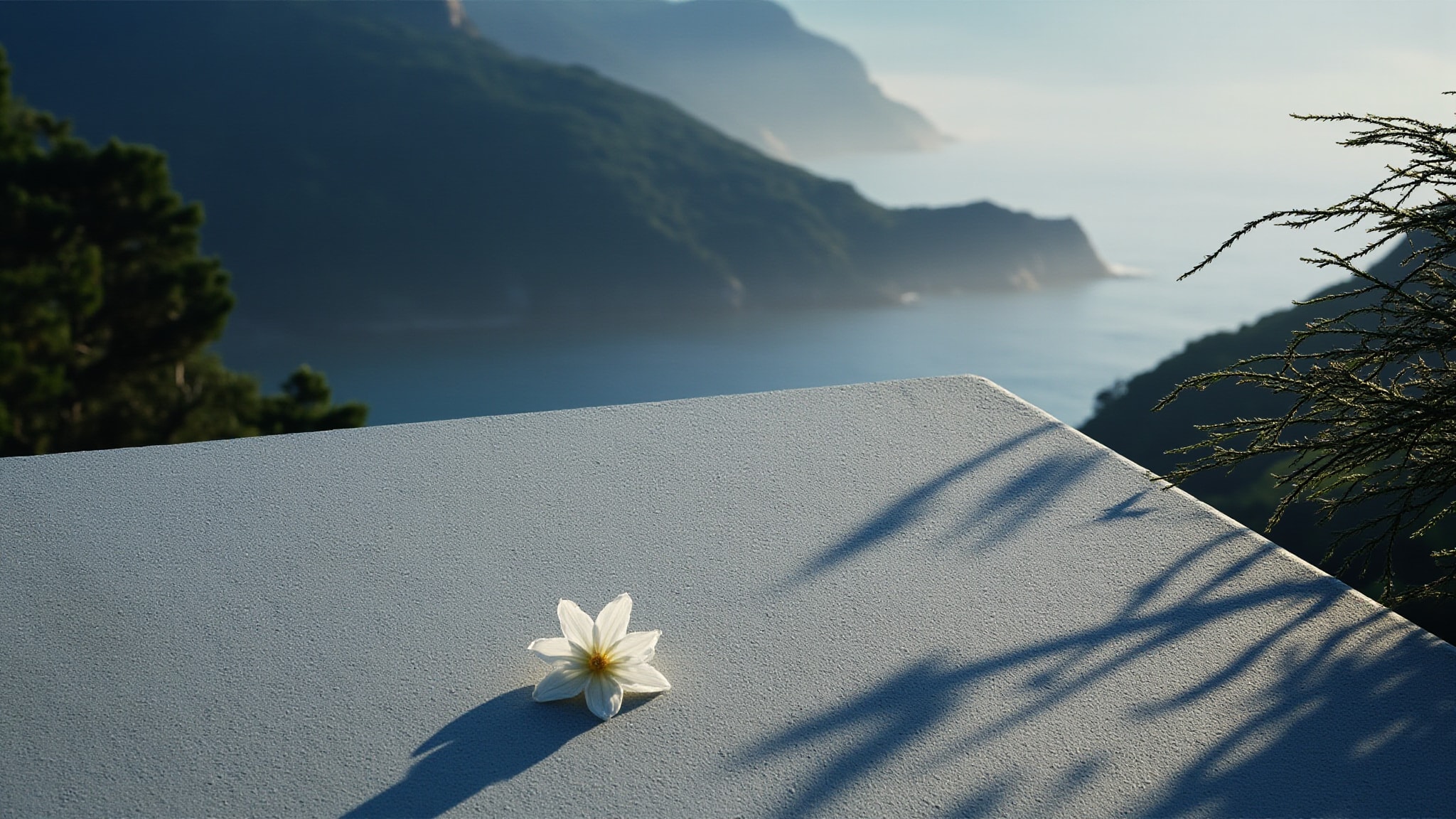 Aguas de Verao Damas by Companhia da Terra. Atmospheric mood