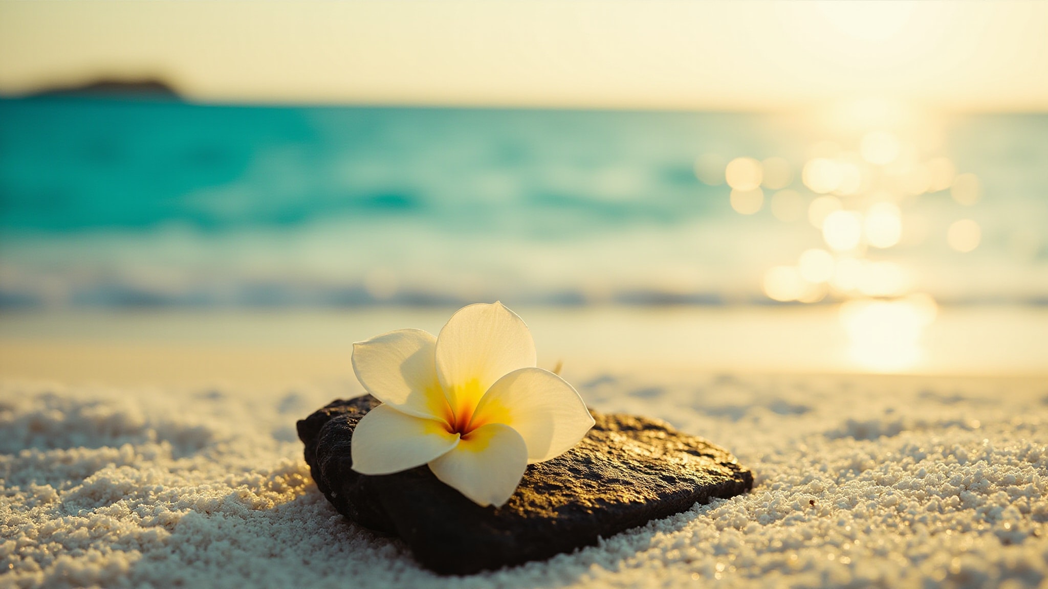 Aloha Tiare Eau de Toilette by Comptoir Sud Pacifique. Atmospheric mood