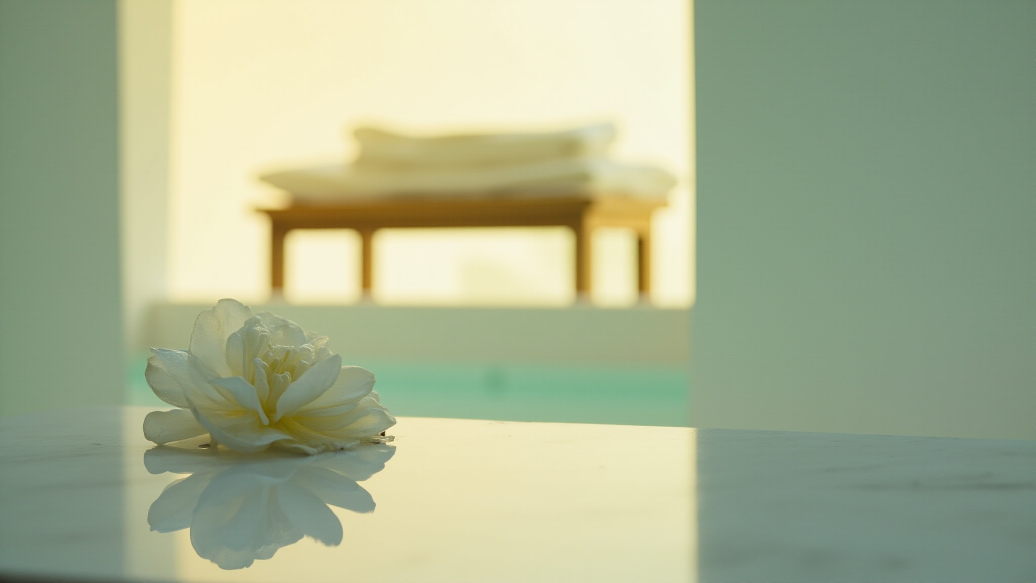 Camellia 3.2 by Coquillete. Atmospheric mood