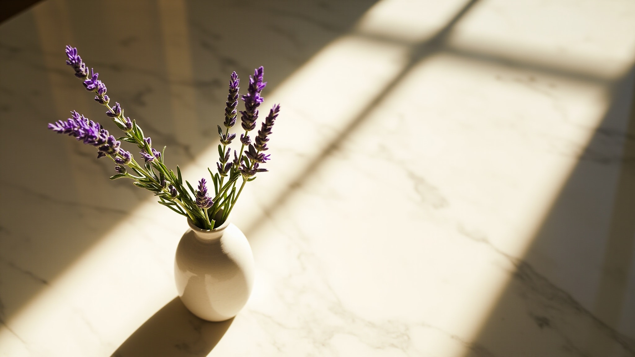 Lavender by Crabtree & Evelyn. Atmospheric mood