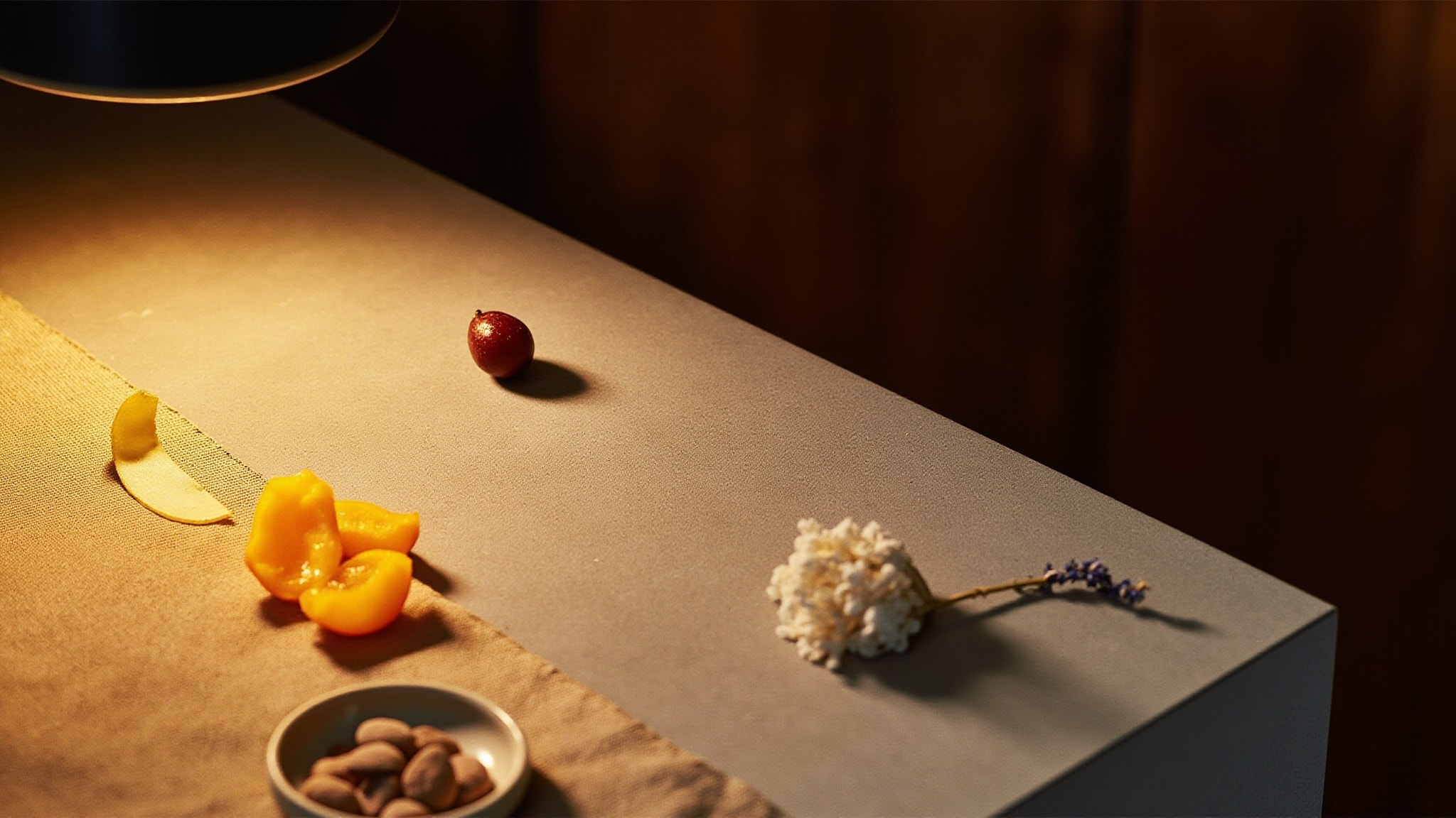 Sort Sol by Damask Haus. Atmospheric mood